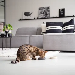 District 70 Katzennapf Bamboo XS beige D 12 H 2,8 cm