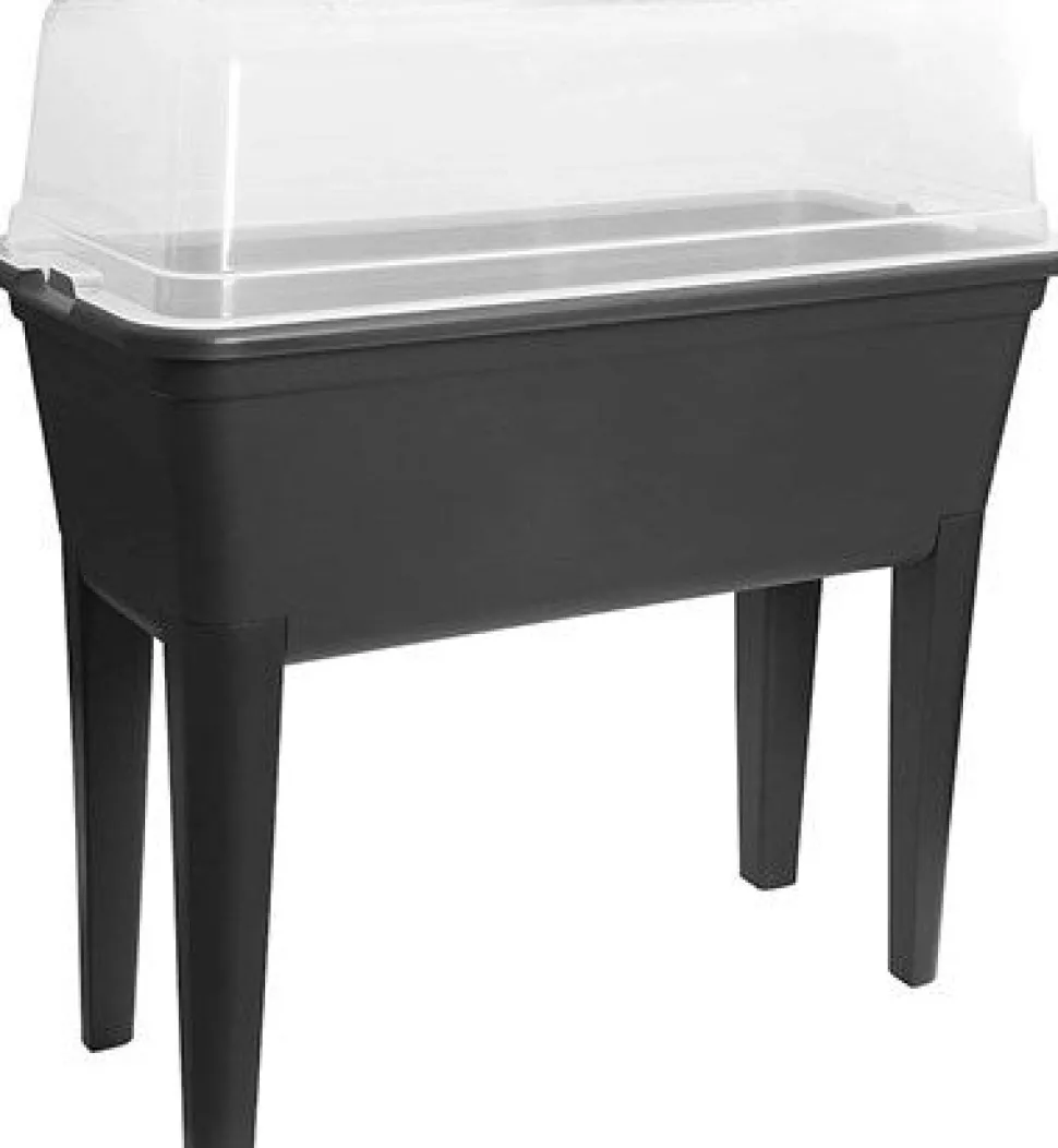 Easyday Anzuchtkasten mit Deckel 78 x 76 x 37 cm