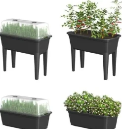 Easyday Anzuchtkasten mit Deckel 78 x 76 x 37 cm