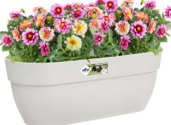 Elho Balkonkasten Vibia Easyhanger weiß 46 x 24,1 x 26,5 cm