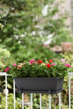 Elho Barcelona Balkonkasten Untersetzer 90 cm anthrazit