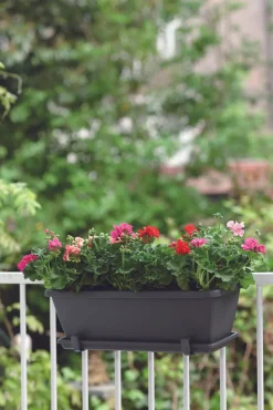 Elho Barcelona Balkonkasten 50 cm anthrazit