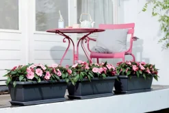 Elho Barcelona XL Blumenkasten Untersetzer 54 cm anthrazit