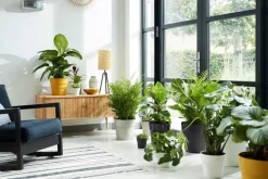 Elho Blumentopf B. for original D 22 cm H 20,3 cm ocker