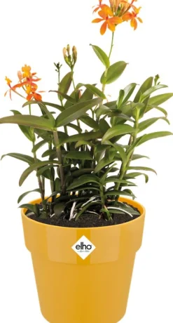 Elho Blumentopf B. for original D 18,1 cm H 16,5 cm gelb