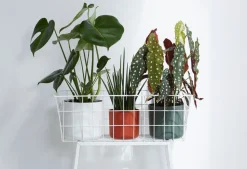 Elho Blumentopf B. for soft D 18,3 cm H 16,8 cm weiß