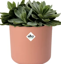 Elho Blumentopf B. for soft D 16 cm H 14,9 cm rosa