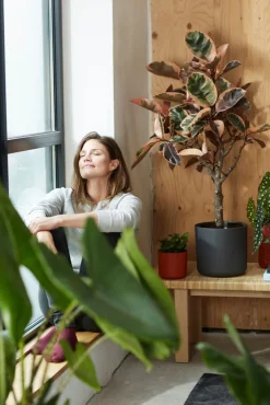 Elho Blumentopf B. for soft D 16 cm H 14,9 cm anthrazit