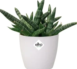 Elho Blumentopf Brussels rund mini D 6,7 cm H 6 cm weiß