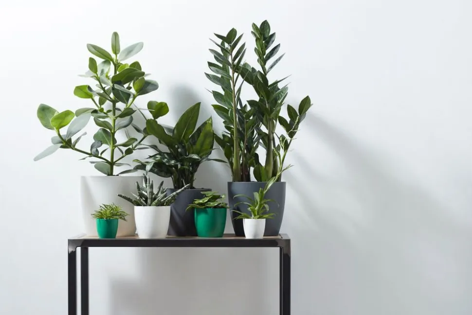 Elho Blumentopf Brussels rund D 13,6 cm H 12,5 cm anthrazit