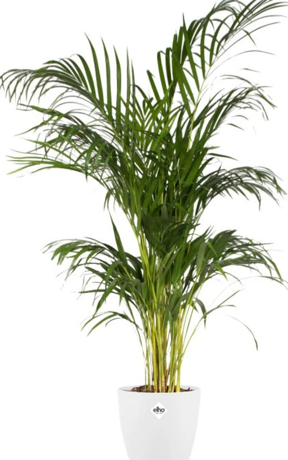 Elho Blumentopf Brussels rund D 29,4 cm H 27,4 cm weiß