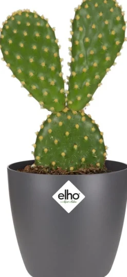 Elho Blumentopf Brussels rund mini D 6,7 cm H 6 cm anthrazit