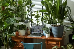 Elho Blumentopf Brussels rund D 13,6 cm H 12,5 cm weiß