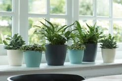 Elho Blumentopf Brussels rund D 29,4 cm H 27,4 cm anthrazit