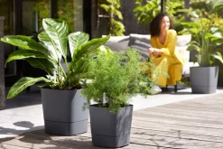 Elho Blumentopf greensense aqua care grau 38 x 38 x 39 cm