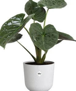 Elho Blumentopf Jazz weiß D 23,1 H 21,5 cm