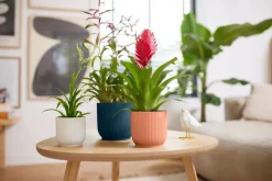 Elho Blumentopf Vibes blau D 16,1 H 14,8 cm