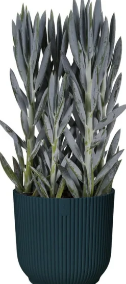 Elho Blumentopf Vibes D 14,1 cm H 12,9 cm blau