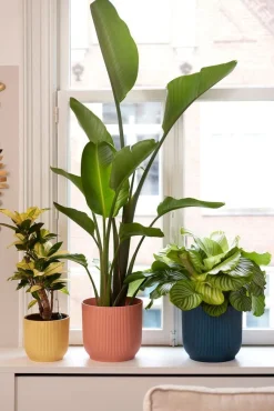 Elho Blumentopf Vibes gelb D 18,3 H 16,8 cm