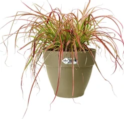 Elho Blumentopf Vibia Campana grün D 30 H 25 cm