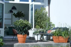 Elho Blumentopf Vibia terracotta D 30 H 25 cm