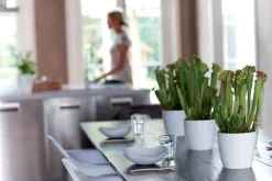 Elho Brussels Diamond Blumentopf rund 14 cm weiß