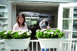 Elho Corsica Balkonkasten 58 x 29,6 x 24 cm anthrazit