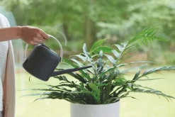 Elho Gießkanne B for soft 1,7 l anthrazit