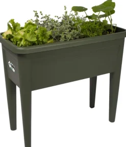 Elho green basics Anzuchtkasten XXL grün 75,5 x 36,5 x 65,1 cm