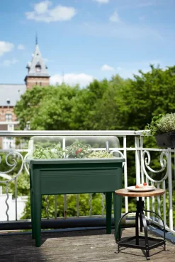 Elho green basics Anzuchtkasten XXL grün 75,5 x 36,5 x 65,1 cm