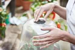 Elho green basics Anzuchtkasten Deckel D 30 cm H 23,1 cm