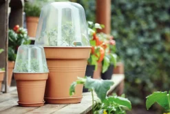 Elho green basics Anzuchtkasten Deckel D 30 cm H 23,1 cm