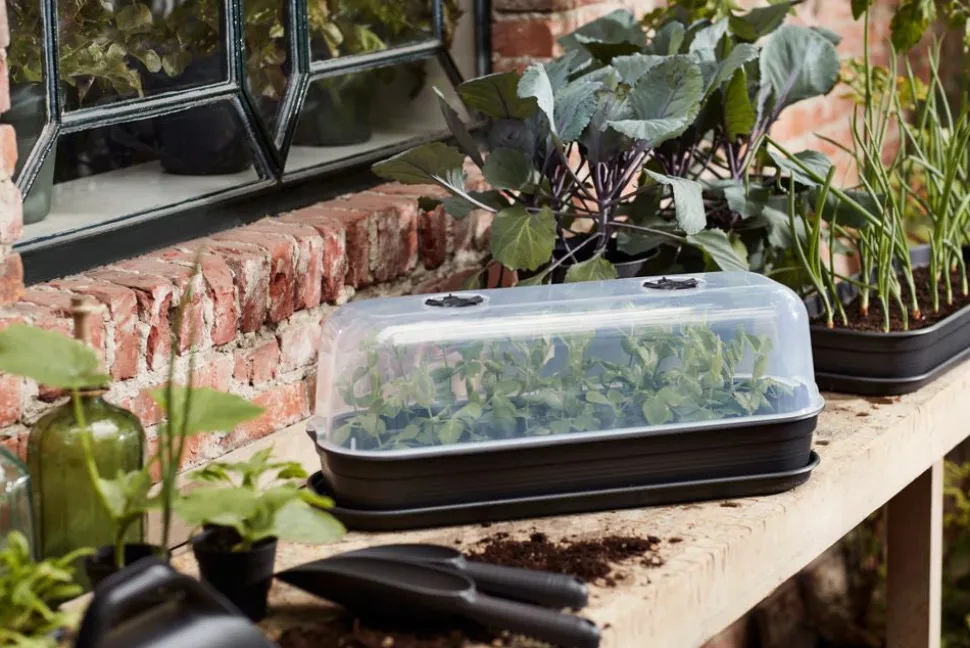 Elho green basics Anzuchtkasten Deckel 51 x 19,5 x 12,7 cm