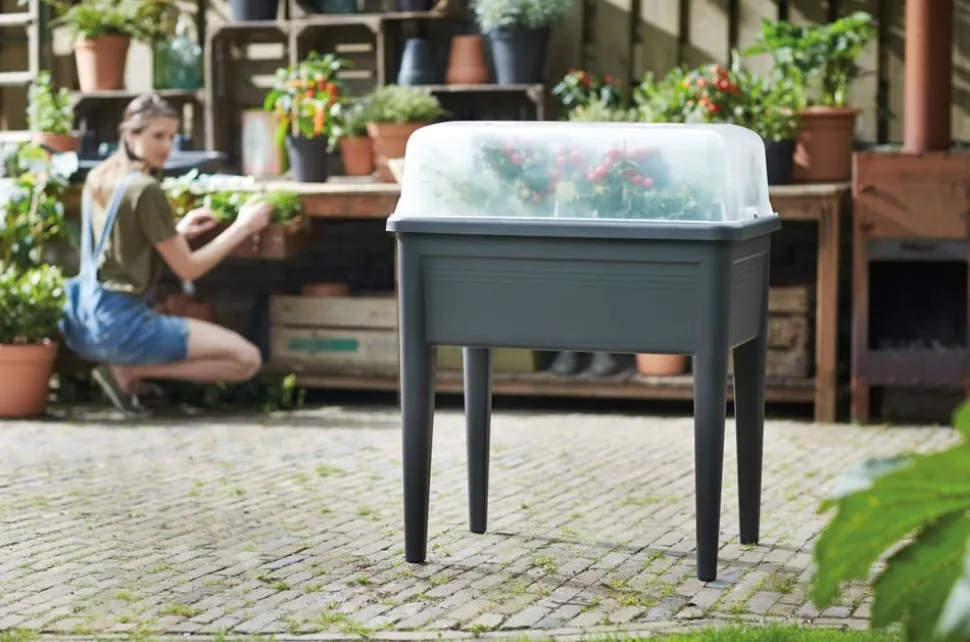 Elho green basics Anzuchtkasten Deckel 74,8 x 35,5 x 20,3 cm