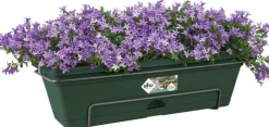 Elho green basics Balkonkasten all-in-one 69,2 x 25,7 x 16,7 cm grün
