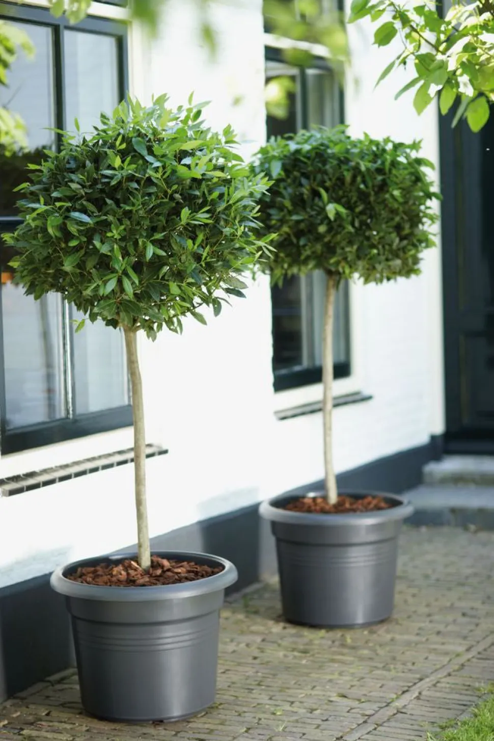 Elho green basics Blumentopf D 40 cm H 29,5 cm schwarz