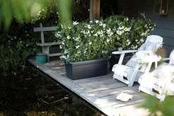 Elho green basics Garten XXL Anzuchtkasten 60 cm schwarz