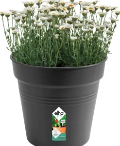 Elho green basics Pflanztopf schwarz D 30 H 27,7 cm