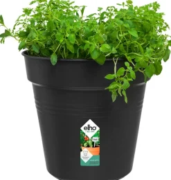 Elho green basics Pflanztopf schwarz D 24 H 22,1 cm