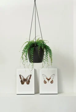 Elho Hängeampel Brussels mit Schnur D 18,3 cm H 18 anthrazit