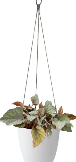 Elho Hängeampel Brussels mit Schnur D 18,3 cm H 18 weiß