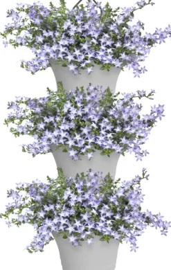 Elho Hängetopf Corsica weiß 26,7 x 17 x 29,7 cm 3 St.