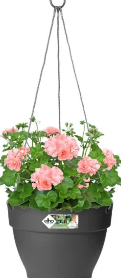Elho Hängetopf Vibia D 26 H 18 cm anthrazit