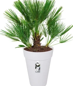 Elho Loft Urban Blumentopf hoch D 28 H 38 cm weiß