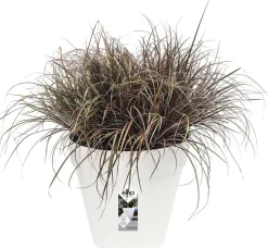 Elho Loft Urban Blumentopf D 25 cm H 22 cm weiß