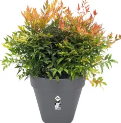 Elho Loft Urban Blumentopf D 25 cm H 22 cm anthrazit