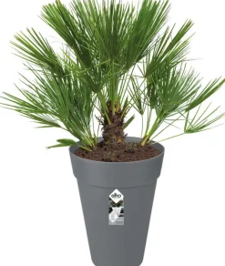 Elho Loft Urban Blumentopf hoch D 28 cm H 38 cm anthrazit