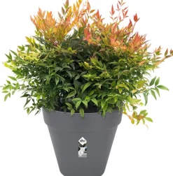 Elho Loft Urban Blumentopf mit Rollen 40 cm anthrazit