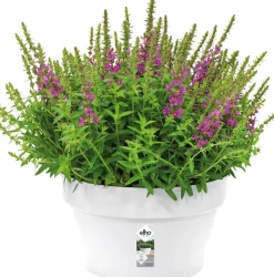 Elho Loft Urban Pflanzschale 35 cm weiß