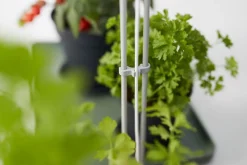 Elho Pflanzenlampe Light Garden grün 44,3 x 27 x 7,8 cm